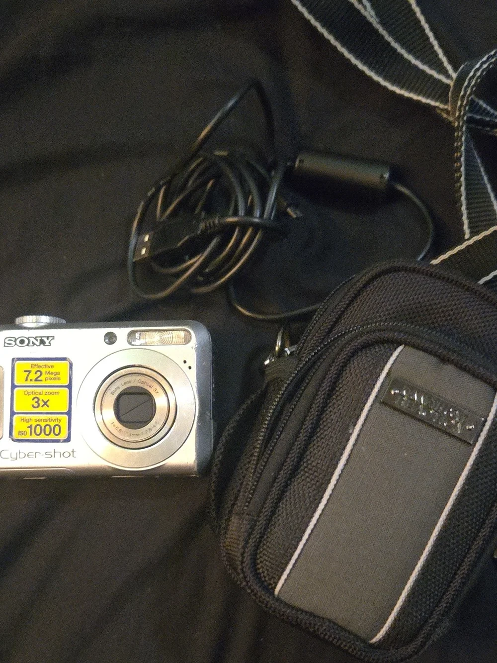 Sony Silver Cyber-shot Compact Camera with Black Carry Pouch